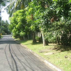 Wack Wack Subdivision Lot For Sale Wack Wack Subdivision Lot For Sale