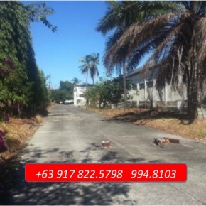 West Service Road, Paranaque – Prime Lot West Service Road, Paranaque – Prime Lot