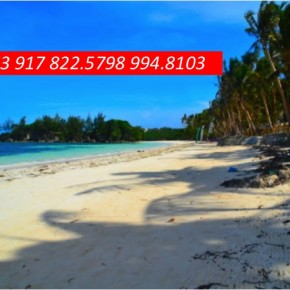 Boracay Resort for Sale Boracay Resort for Sale