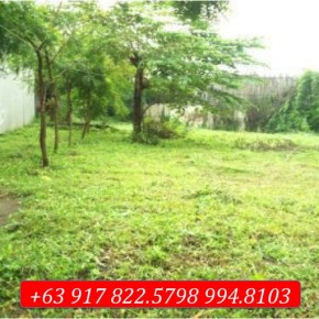 Valle Verde, Pasig – Prime Lot Valle Verde, Pasig – Prime Lot