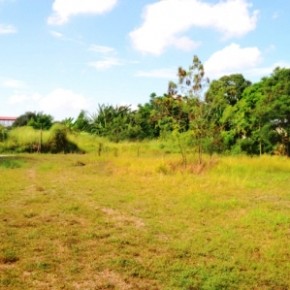 Industrial Lot for Sale – Cabuyao, Laguna Industrial Lot for Sale – Cabuyao, Laguna