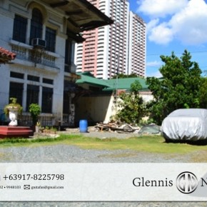 Prime Commercial Lot in Pasay City Prime Commercial Lot in Pasay City