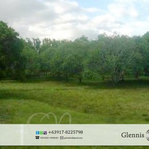 San Juan, Batangas – Income Producing Farm Lot for Sale San Juan, Batangas – Income Producing Farm Lot for Sale