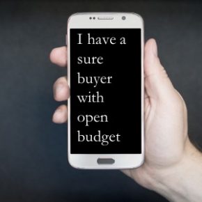 How Seriously Do You Entertain Inquiries with Open Budget and are Sure Buyers? How Seriously Do You Entertain Inquiries with Open Budget and are Sure Buyers?