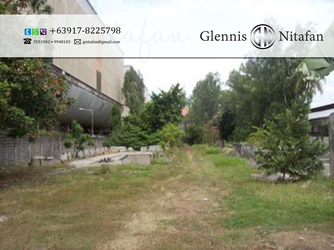 Alabang-Zapote Road, Las Pinas – Prime Commercial Lot