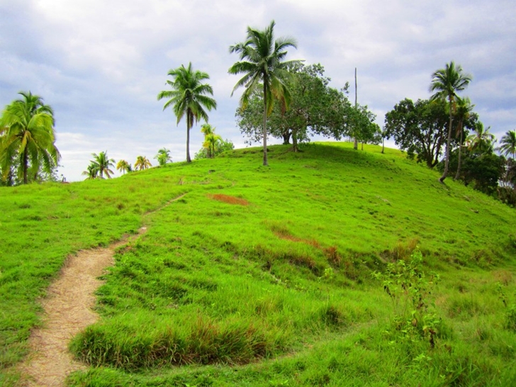 PROPERTY FOR SALE: Barangay Babag, Cebu City