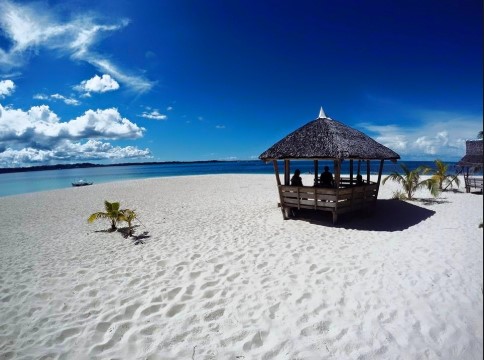 BEACHFRONT PROPERTY FOR SALE: Siargao Island, Surigao del Norte, Mindanao